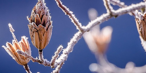 Winter - Angebote aus D-A-CH und Südtirol